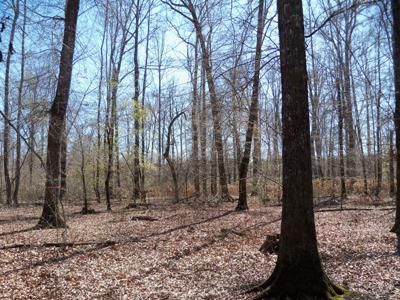 Property in Union County, Arkansas