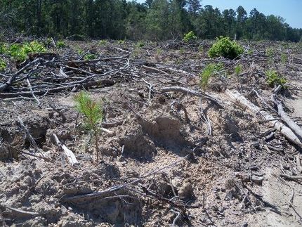 Property in Jefferson County, Arkansas