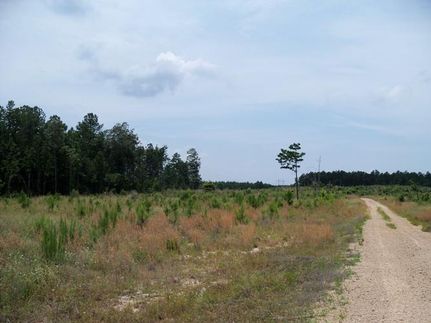 Property in Grant County, Arkansas