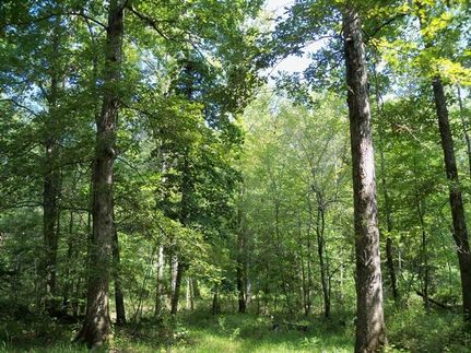 Property in Dallas County, Arkansas