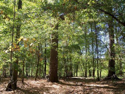 Property in Ashley County, Arkansas