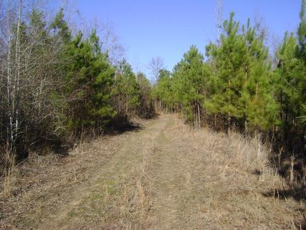 Property in Hempstead County, Arkansas