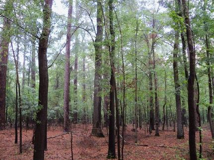 Property in Bradley County, Arkansas