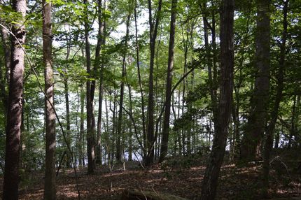 Property in Spartanburg County, South Carolina