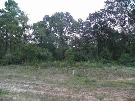 Property in Grimes County, Texas