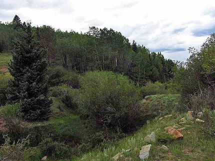 Property in Teller County, Colorado