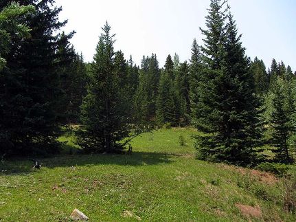 Property in Teller County, Colorado