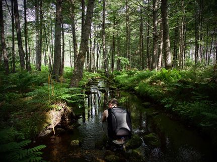 Property in Cumberland County, Maine