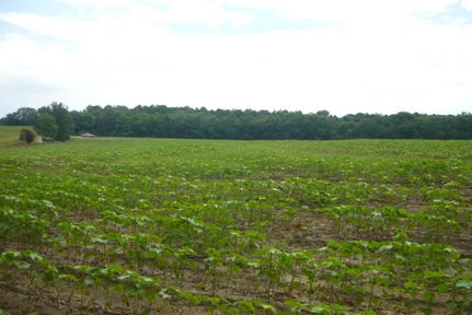 Property in Coffee County, Alabama