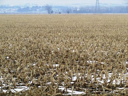 Property in Yankton County, South Dakota