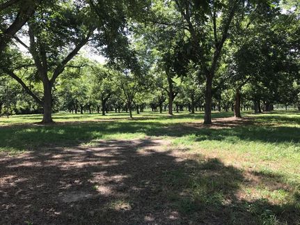 Property in Tattnall County, Georgia