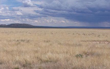 Property in Torrance County, New Mexico