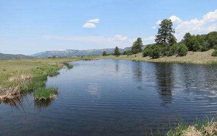 Property in Rio Arriba County, New Mexico