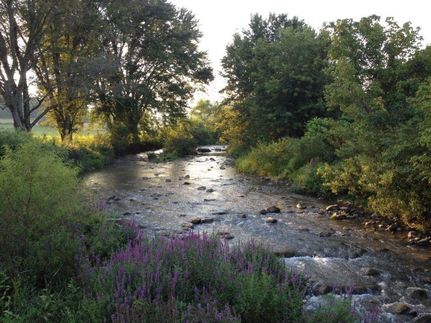 Property in Rockbridge County, Virginia