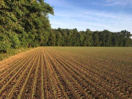 Property in Warren County, Ohio