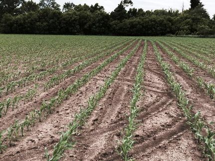 Property in Pipestone County, Minnesota