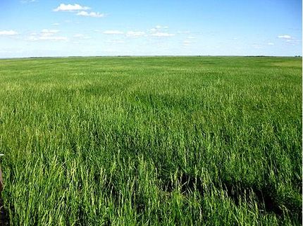 Property in Edmunds County, South Dakota