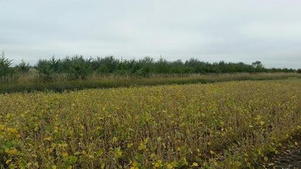 Property in Jerauld County, South Dakota