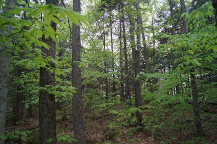 Property in Washington County, Vermont