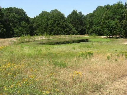 Property in Fannin County, Texas