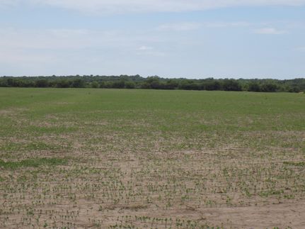 Property in Anderson County, Kansas