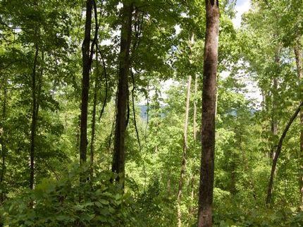 Property in Franklin County, Tennessee