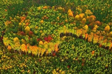 Property in Franklin County, Tennessee