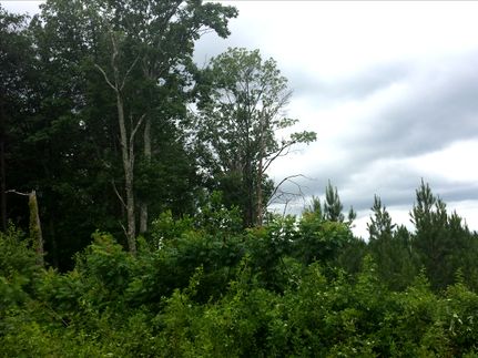 Property in Hamilton County, Tennessee