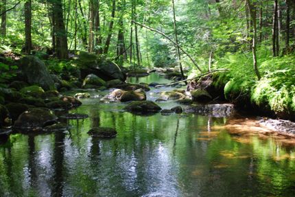 Property in Oxford County, Maine