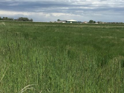 Property in Weld County, Colorado