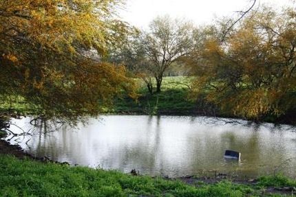 Property in Duval County, Texas