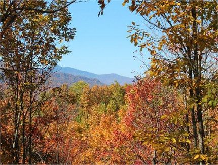 Property for sale in Avery County, North Carolina