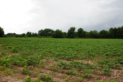 Property in Tippecanoe County, Indiana