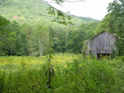 Property in Graham County, North Carolina