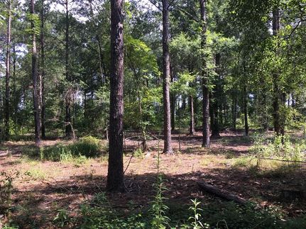 Property in Russell County, Alabama