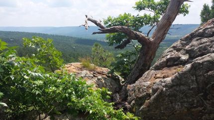 Property in Pittsburg County, Oklahoma