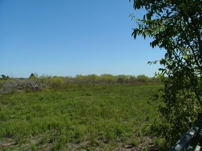 Property in Travis County, Texas