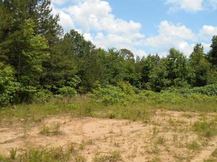 Property in Tippah County, Mississippi