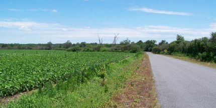 Property in DeKalb County, Alabama