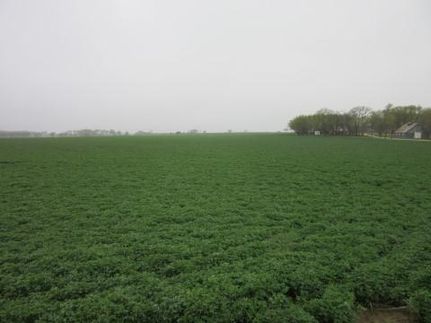 Property in Dickinson County, Kansas