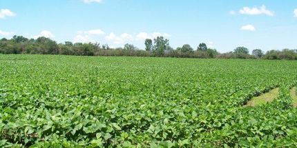 Property in DeKalb County, Alabama