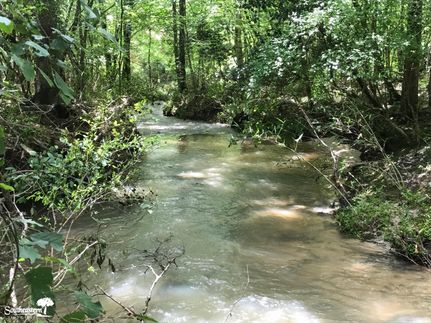 Property in Coosa County, Alabama