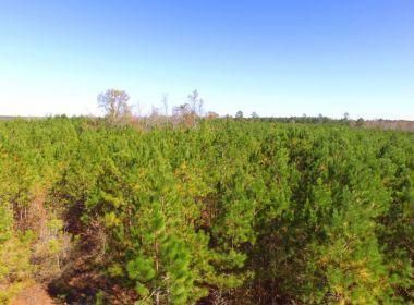 Property in Scotland County, North Carolina