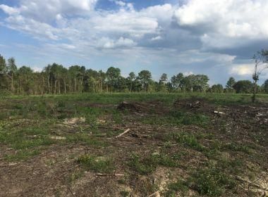 Property in Decatur County, Georgia