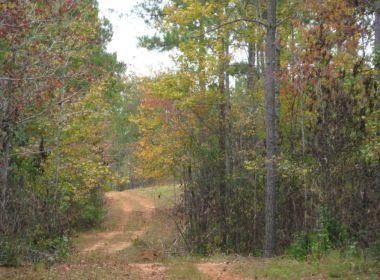 Property in Lee County, Alabama
