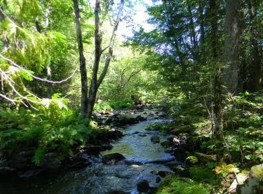 Property in Iron County, Michigan