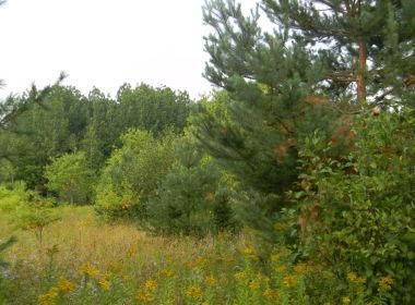 Property in Houghton County, Michigan
