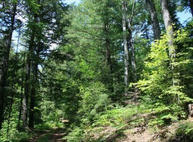 Property in Marquette County, Michigan