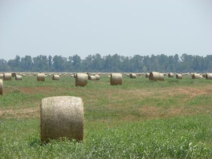 Property in McCurtain County, Oklahoma