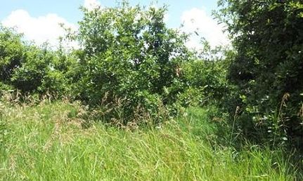 Property in Appanoose County, Iowa